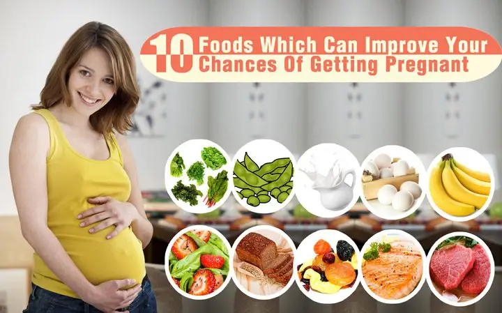 10 Best Foods To Get Pregnant / Improve Pregnancy Chances ...
