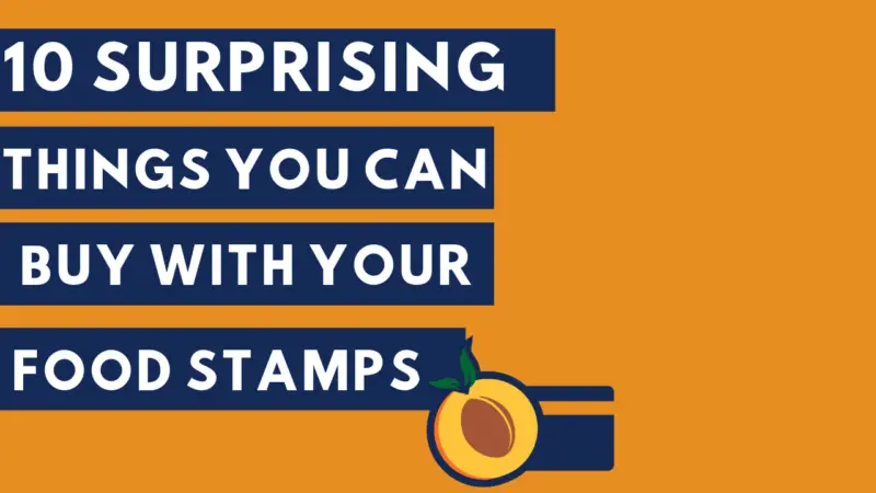 10 Surprising Things You Can Buy with Food Stamps