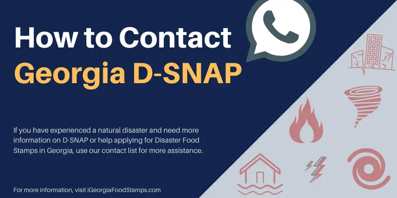 Apply for Disaster Food Stamps in Georgia