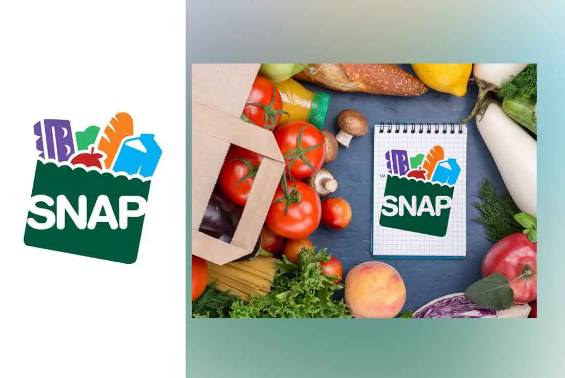 Apply for Food Stamps Online