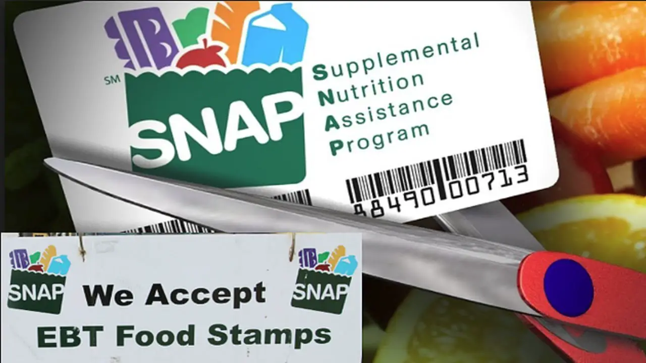BREAKING: Massive Food Stamp Fraud Scheme BUSTED! Look Where!