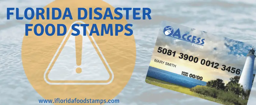 Disaster Food Stamps Florida