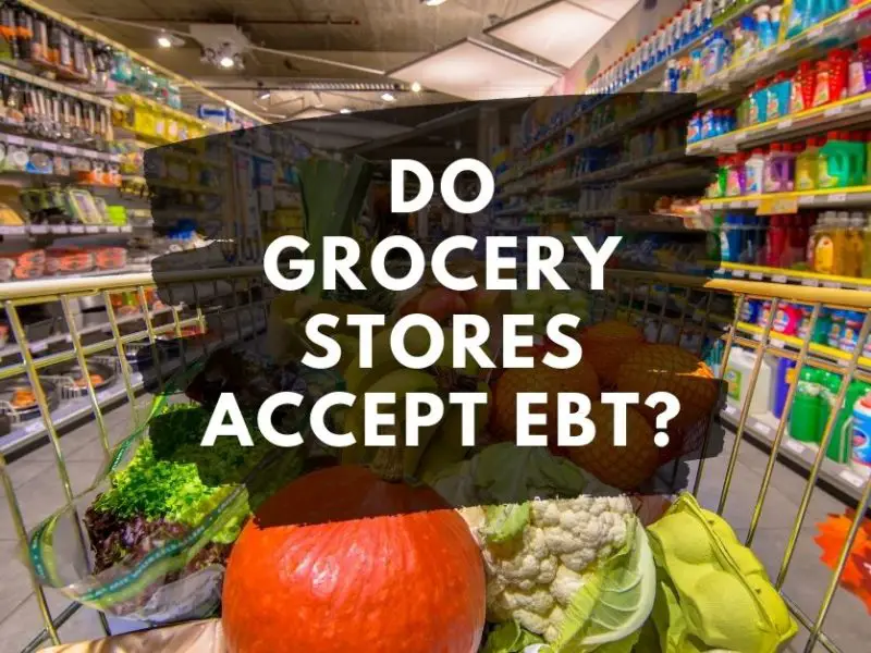 Do All Grocery Stores Accept EBT? Heres the Truth