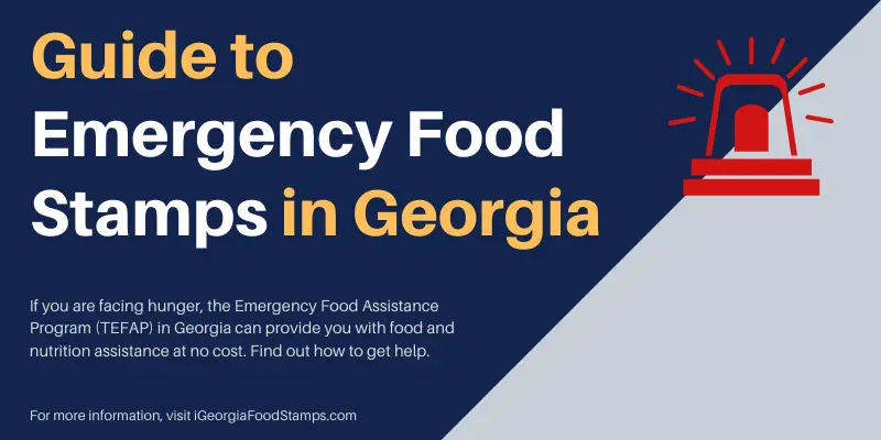 Emergency Food Stamps in Georgia [Guide]