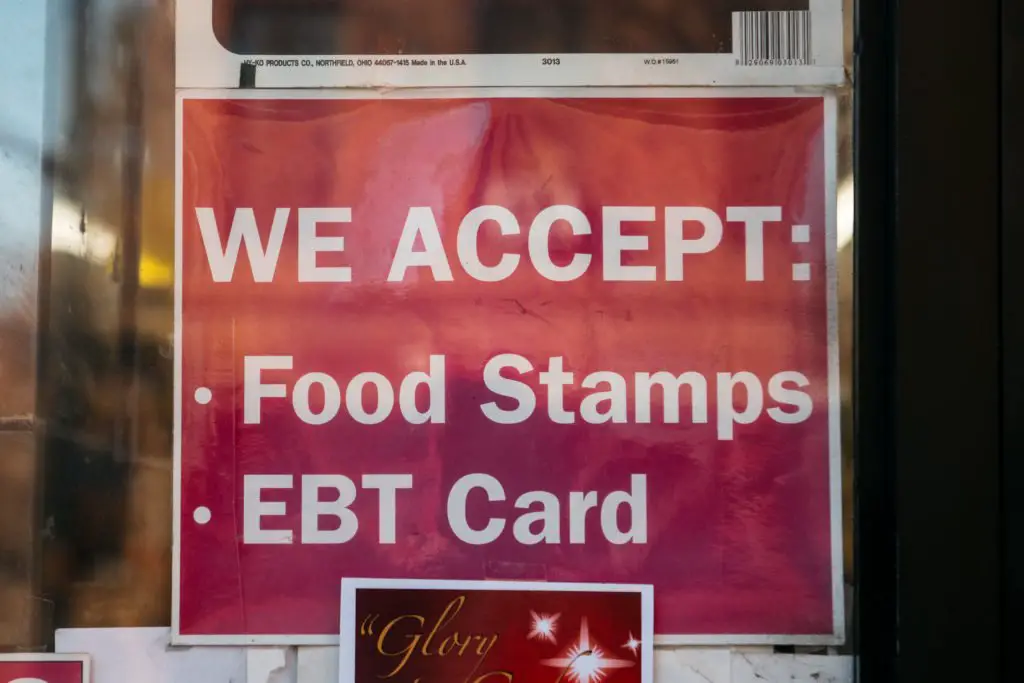 Food Stamps and the 2020 Election