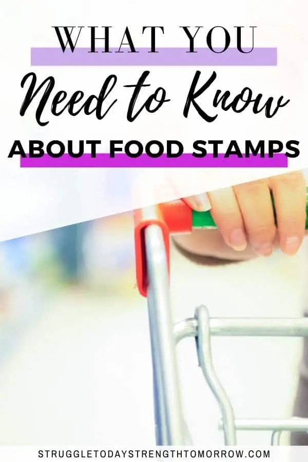 Food Stamps Explained