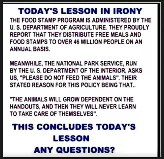 Food stamps, Irony, Lesson