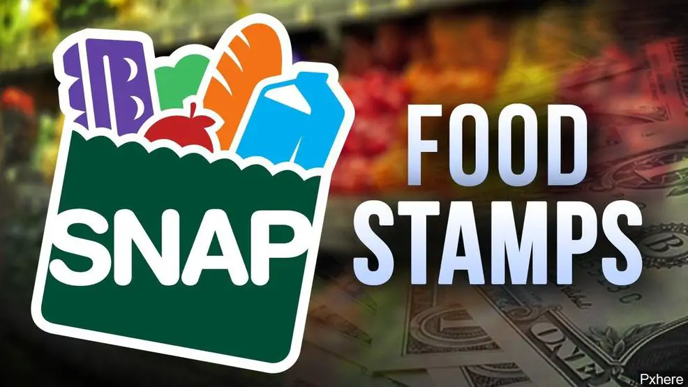 Food Stamps Piloting Online Purchasing, Grocery Delivery