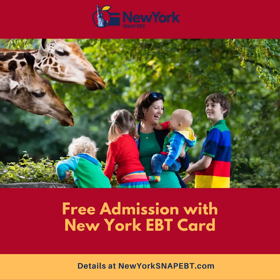Free Admission with New York EBT (2022 Guide)