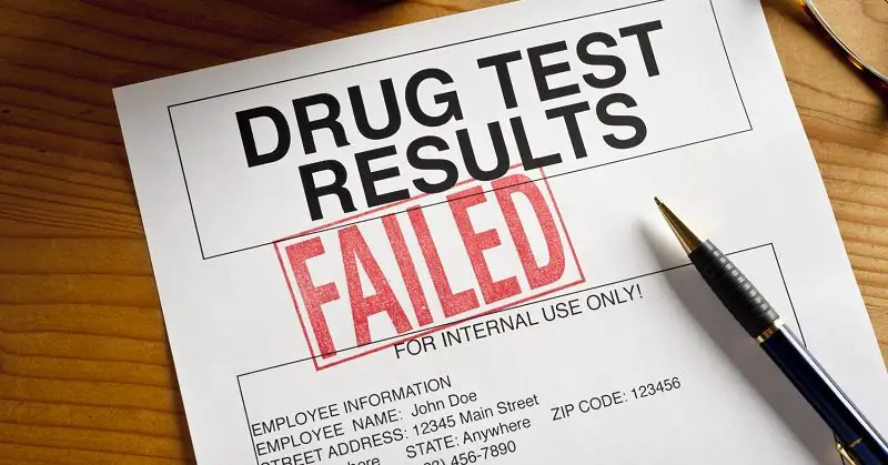 Georgia food stamps drug test