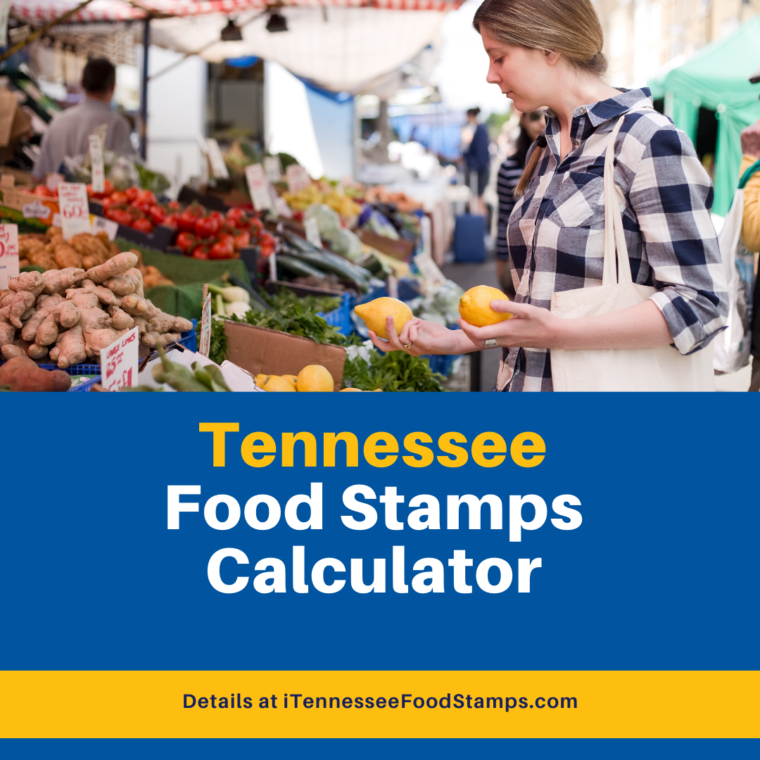 How much will I get in food stamps in Tennessee?