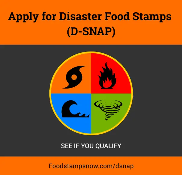 How to apply for disaster food stamps online