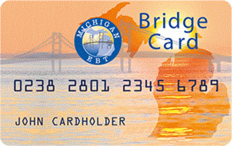 How to check Michigan bridge card balance