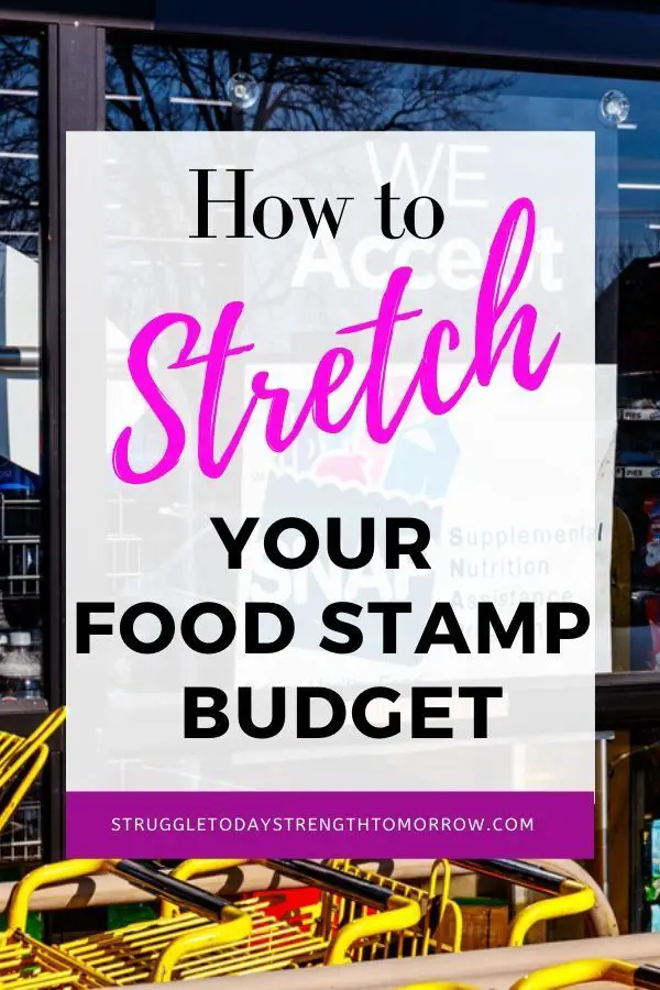 How to Make Your Food Stamps Last All Month or Longer ...