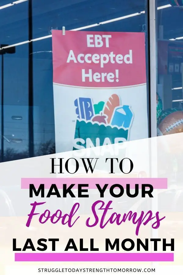 How To Replace A Lost Food Stamp Card / Michigan EBT Card Balance ...