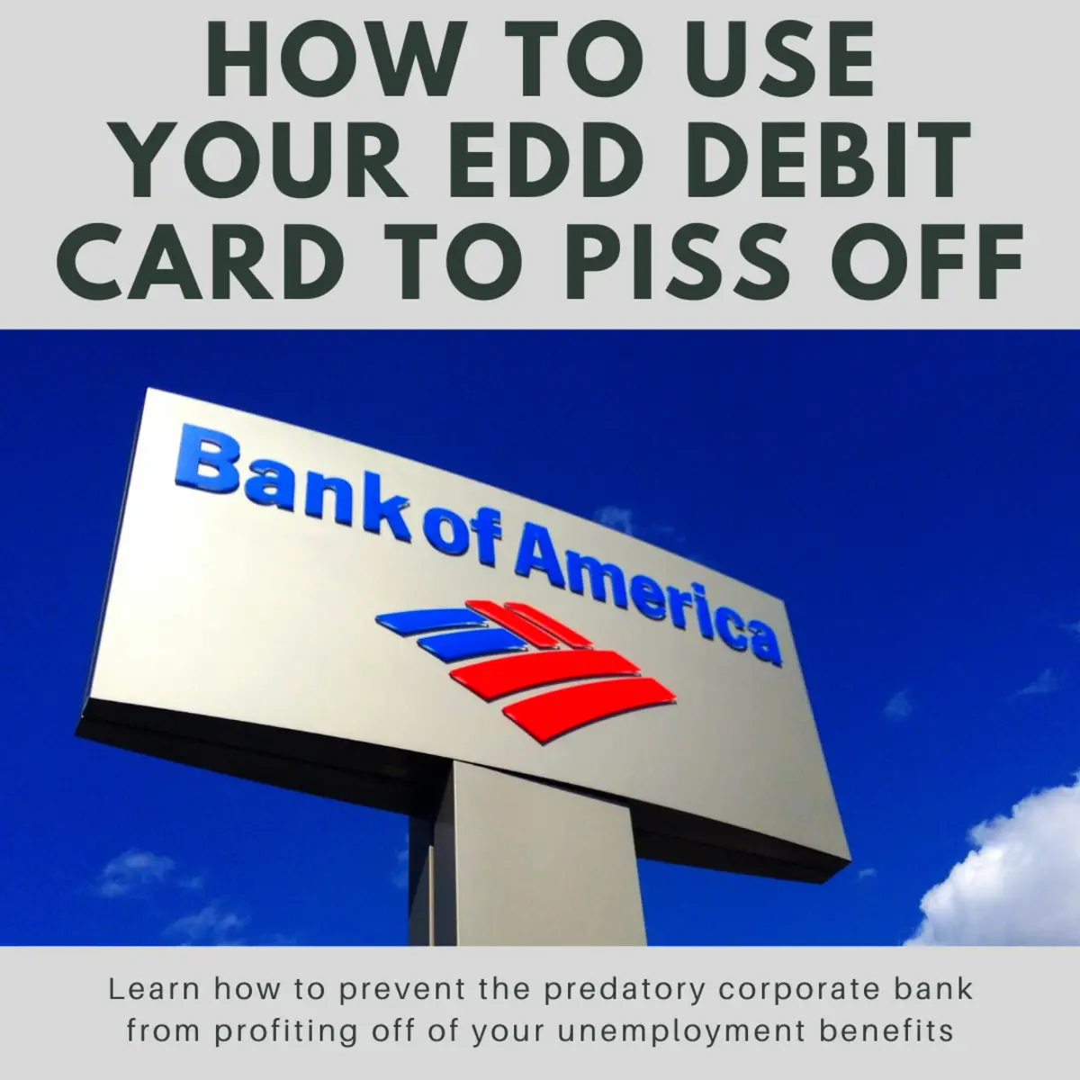 How To Use Ebt Card At Grocery Store