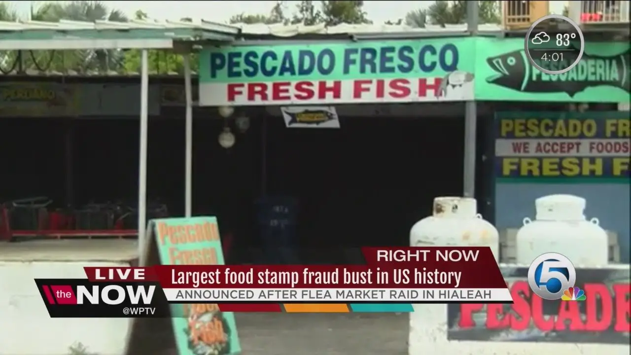 HUGE Food Stamp Fraud Bust Was Just Completed And Heres ...