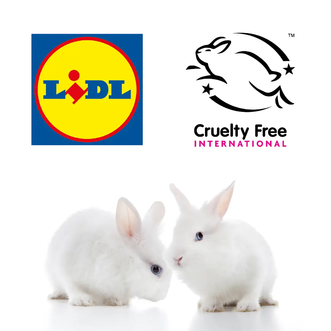 Lidl GB gets the label âcruelty freeâ? â World Animals Voice