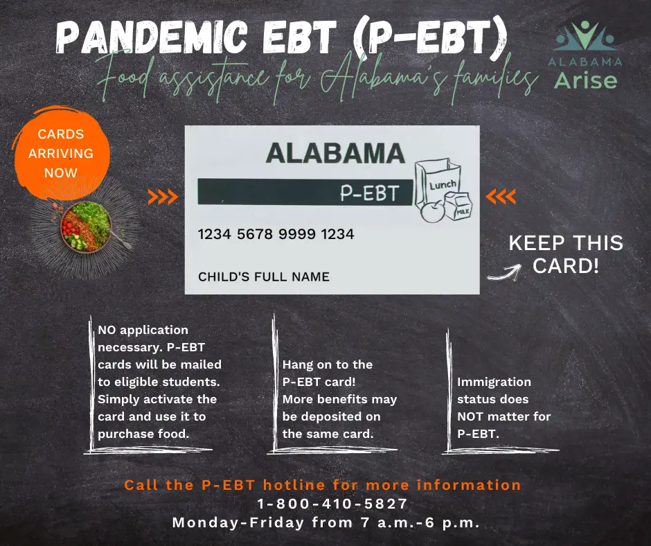 Pandemic EBT (P