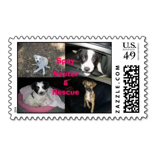 quality product spay neuter rescue postage stamps spay neuter rescue