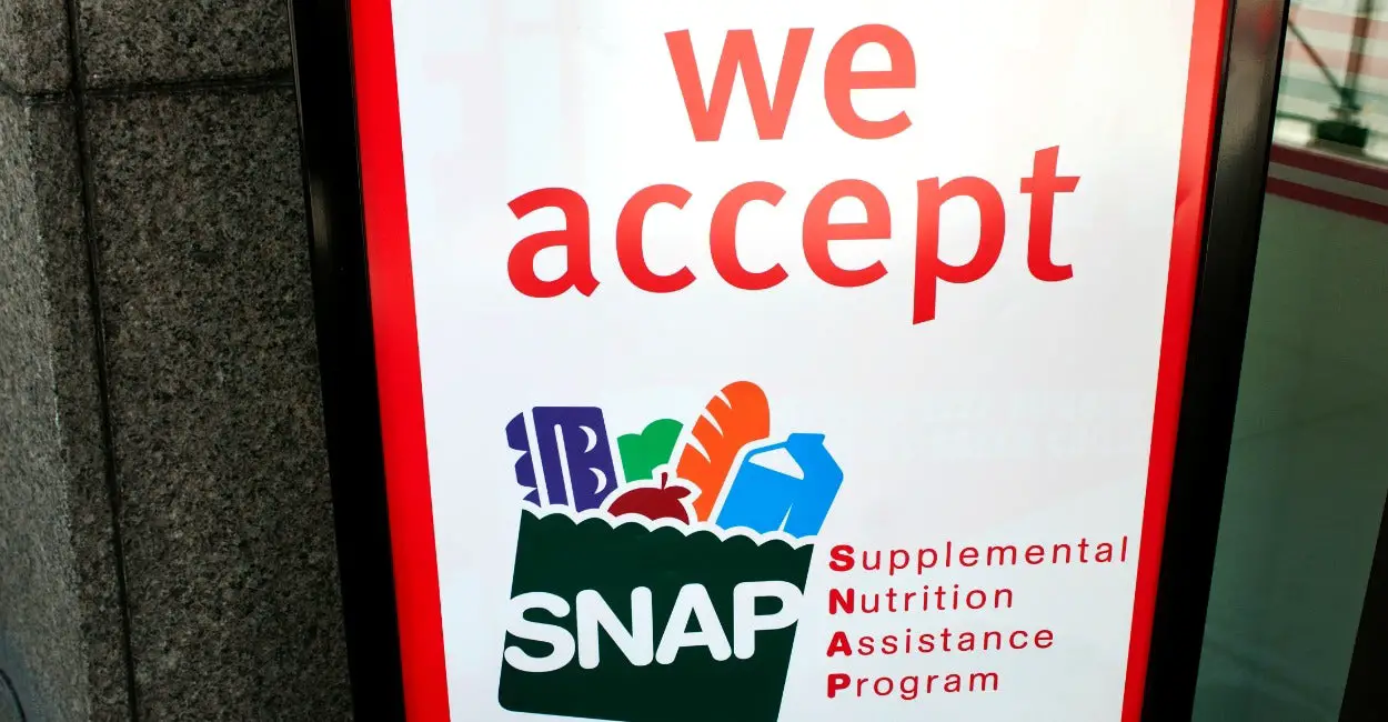 Sc Food Stamps Requirements