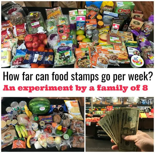 Shopping Trip Results for SNAP Food Stamps Challenge: $171 Finds