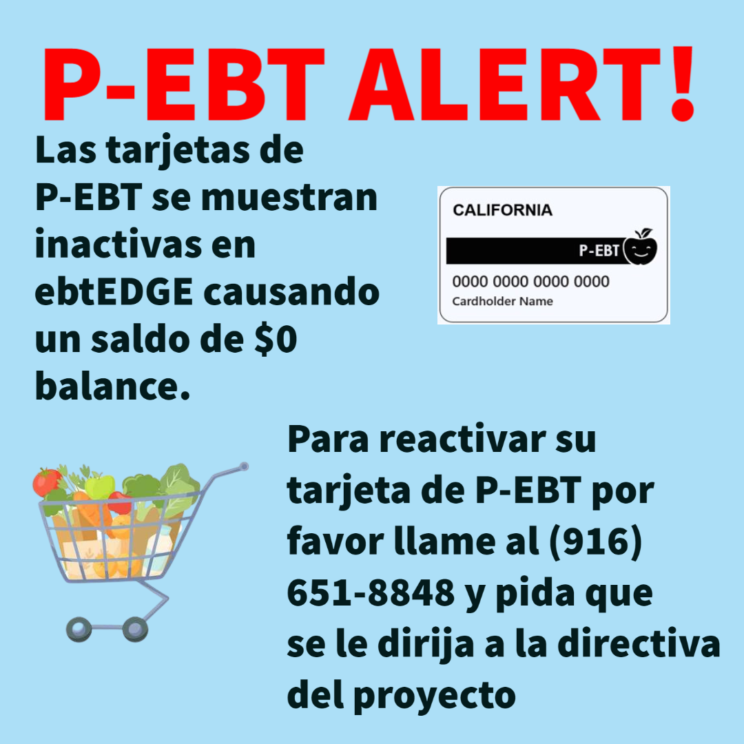 Trouble using your Pandemic EBT card (P