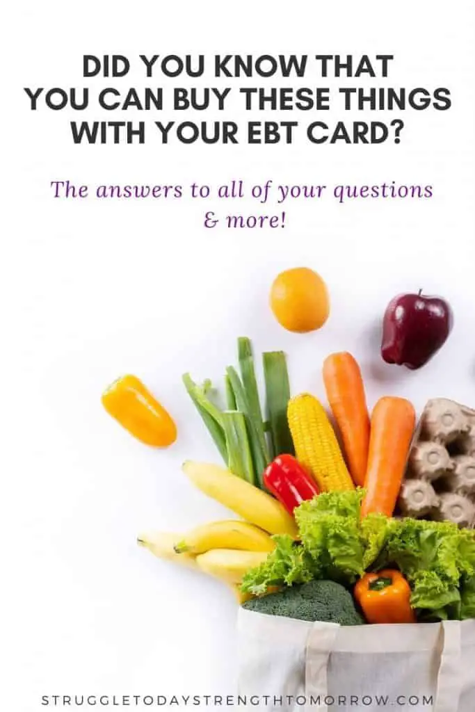 What Can You Buy with EBT?