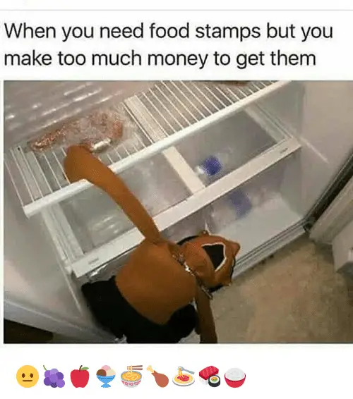 When You Need Food Stamps but You Make Too Much Money to ...